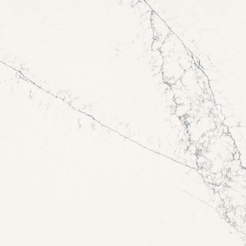 Essens Delicate Sea